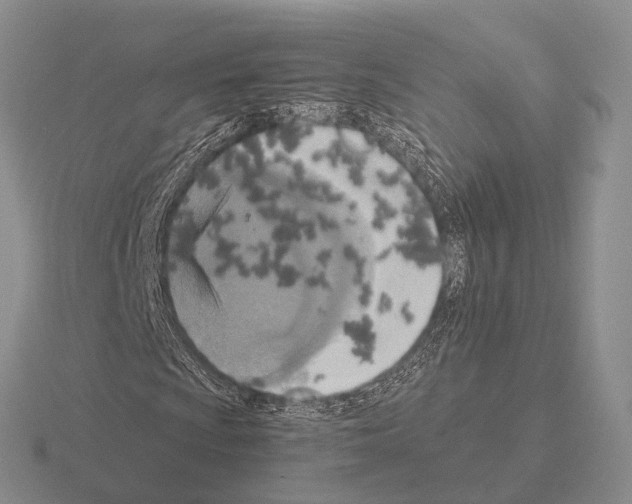 X0000115451009200912161510