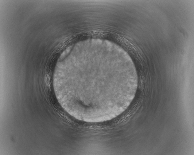 X0000115451010200912161510