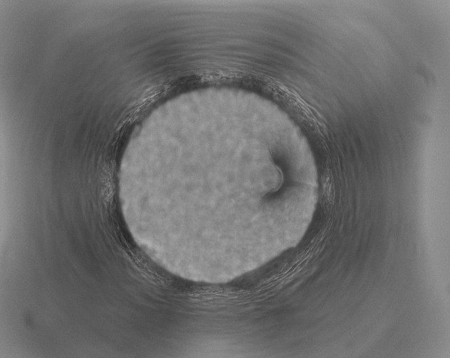 X0000115451012200912161510