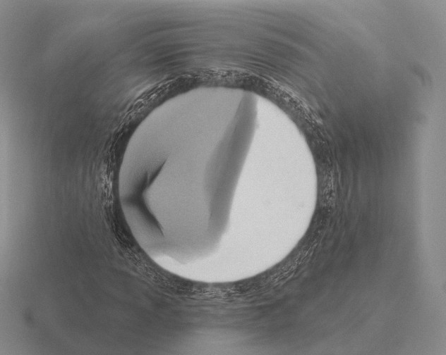 X0000115451013200912161510