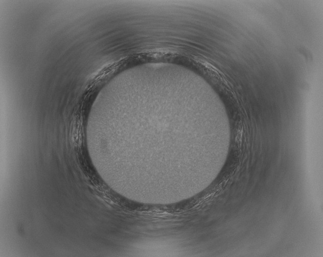 X0000115451014200912161510