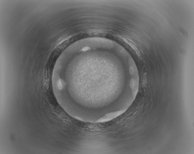 X0000115451015200912161510