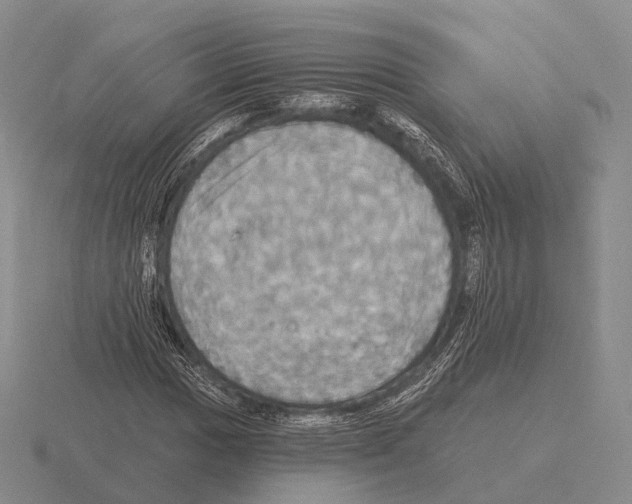 X0000115451017200912161510