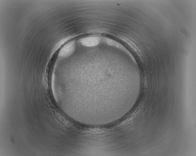 X0000115451022200912161510