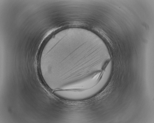 X0000115451024200912161510