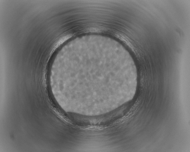 X0000115451026200912161510