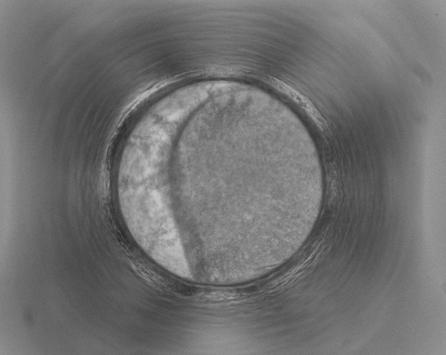 X0000115451027200912161510