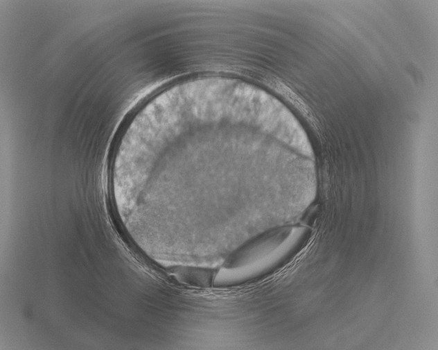 X0000115451028200912161510