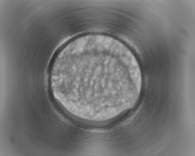 X0000115451029200912161510