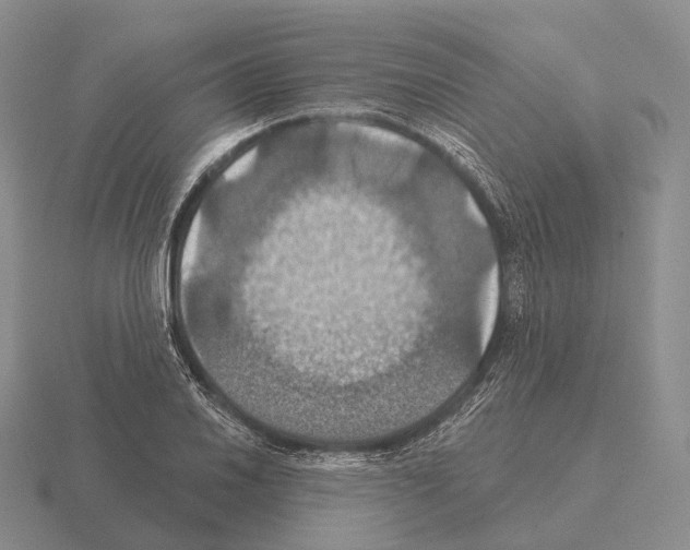 X0000115451030200912161510