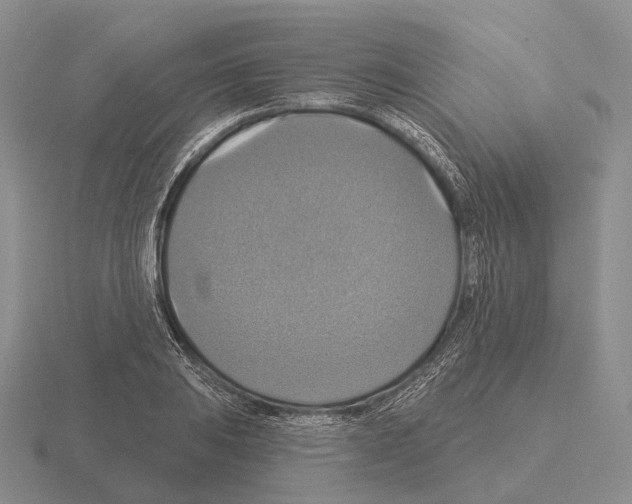 X0000115451031200912161510