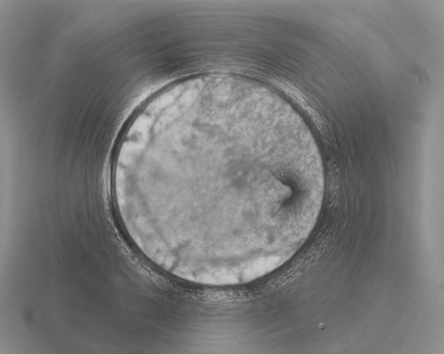 X0000115451032200912161510