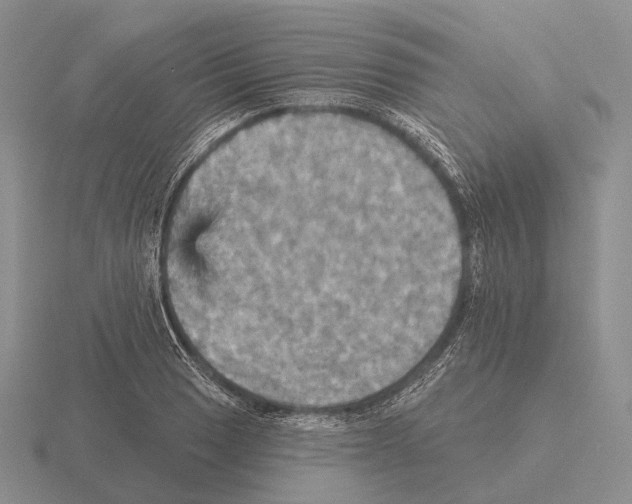 X0000115451033200912161510