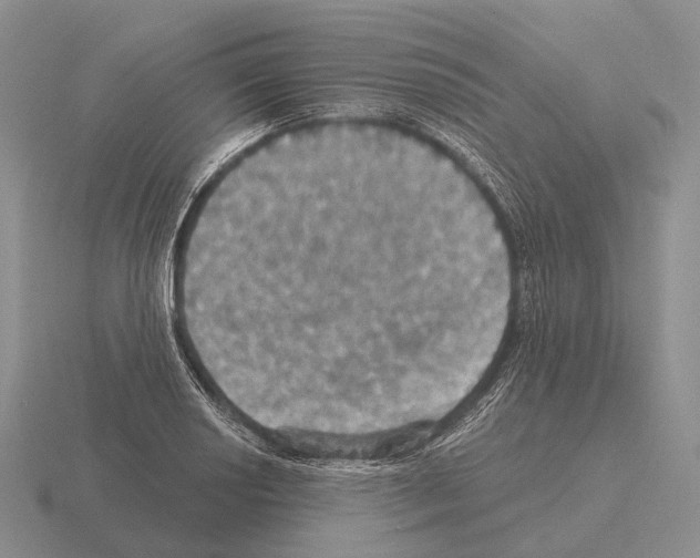 X0000115451034200912161510