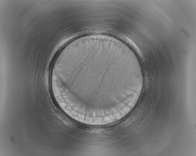 X0000115451035200912161510