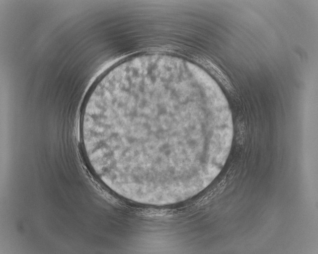 X0000115451036200912161510