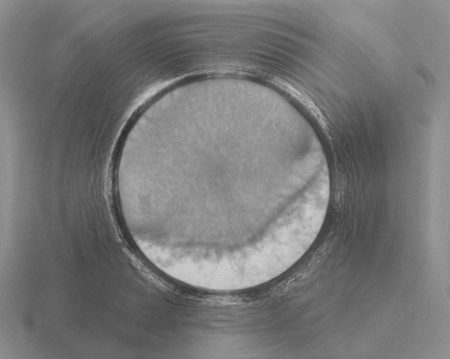 X0000115451037200912161510