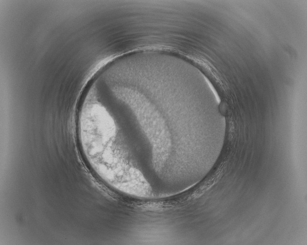 X0000115451038200912161510