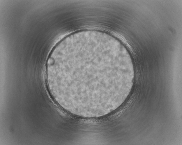 X0000115451040200912161510