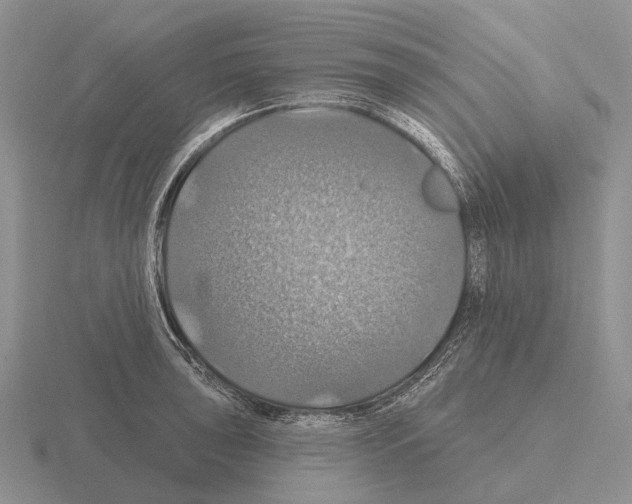 X0000115451043200912161510