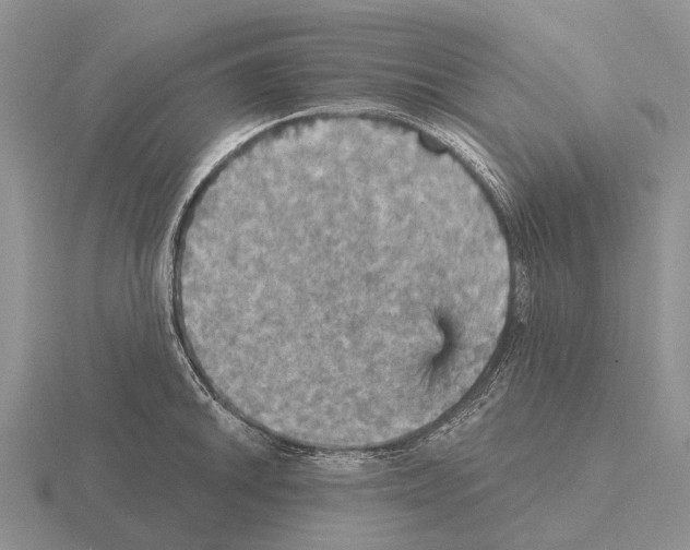 X0000115451046200912161510