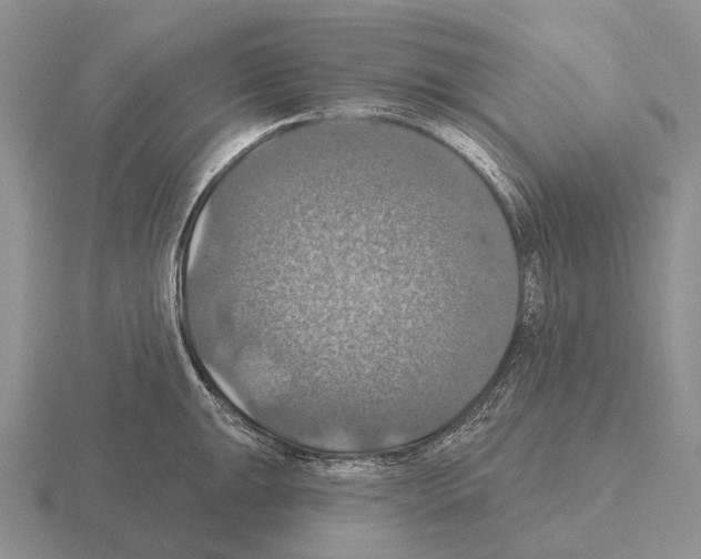 X0000115451047200912161510