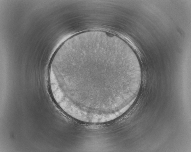 X0000115451048200912161510