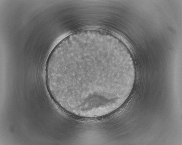 X0000115451050200912161510