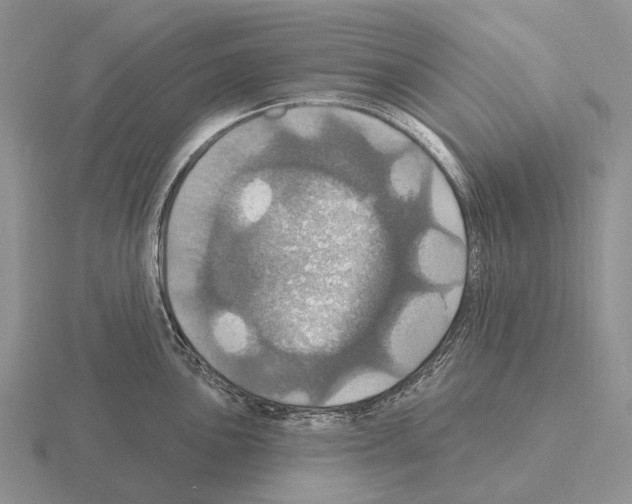 X0000115451051200912161510