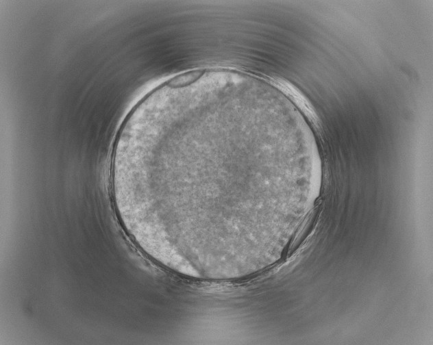 X0000115451052200912161510