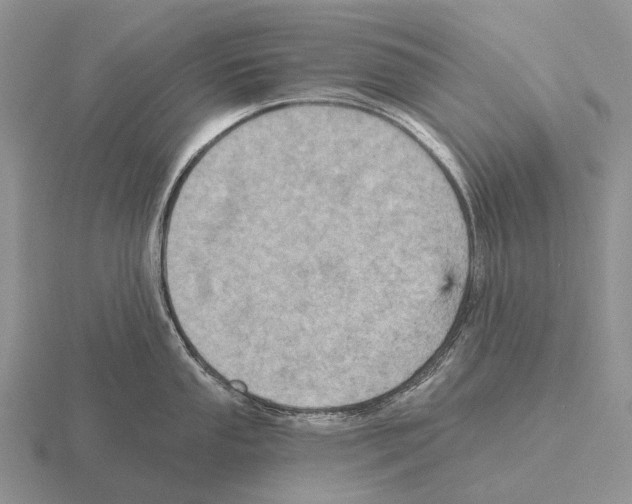 X0000115451053200912161510