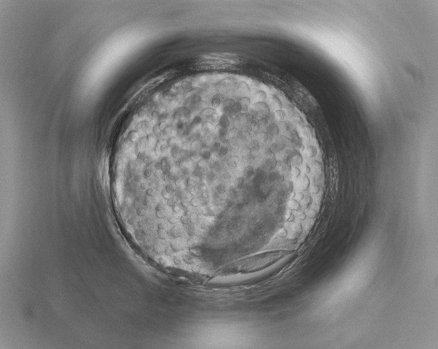 X0000115451054200912161510