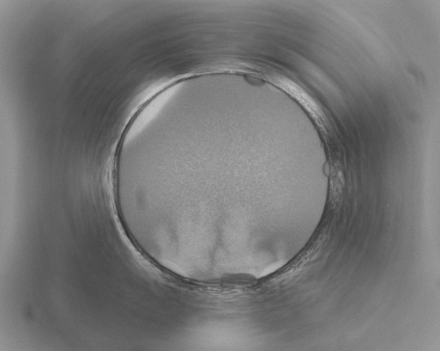 X0000115451055200912161510