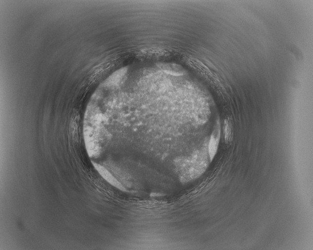 X0000115451059200912161510