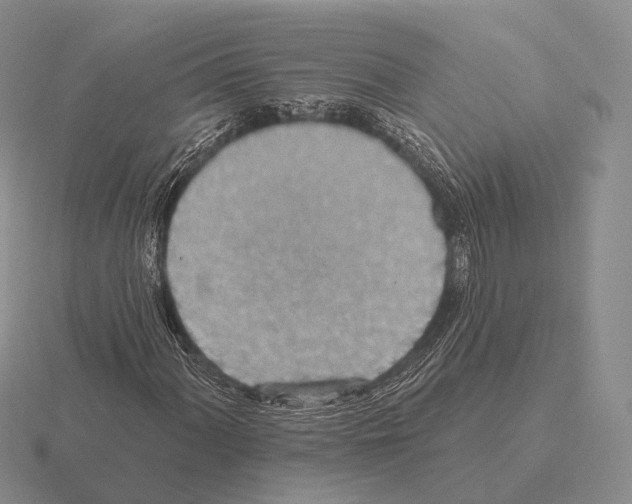 X0000115451060200912161510