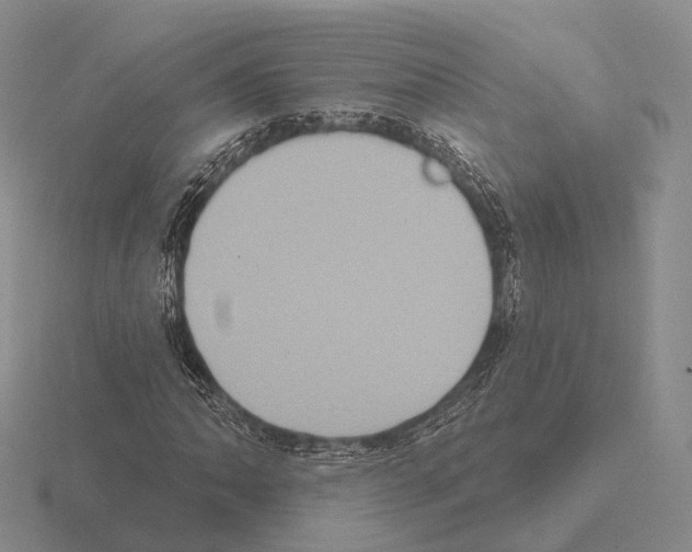 X0000115451062200912161510