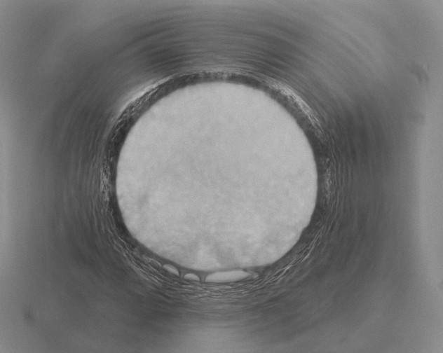 X0000115451064200912161510