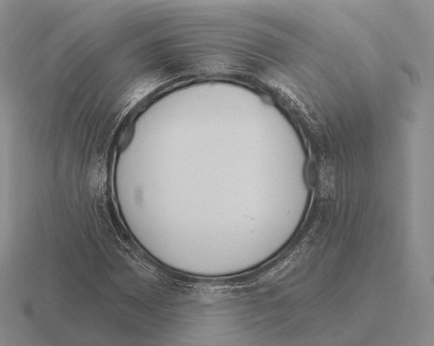 X0000115451065200912161510