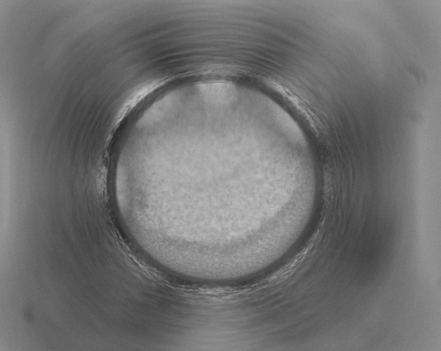 X0000115451066200912161510