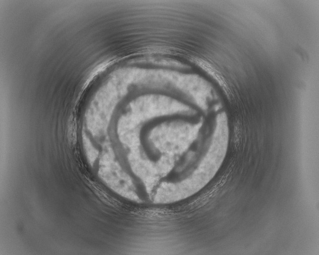 X0000115451067200912161509