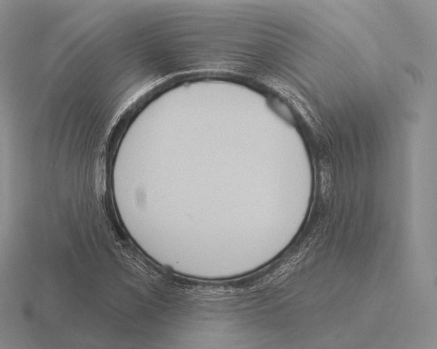 X0000115451069200912161509