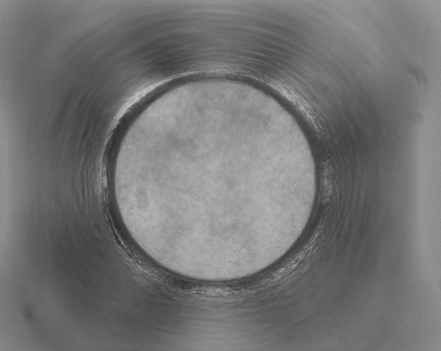 X0000115451070200912161509