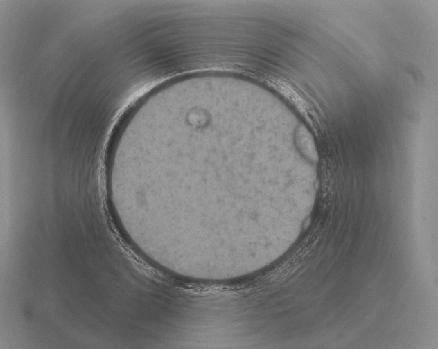 X0000115451072200912161509