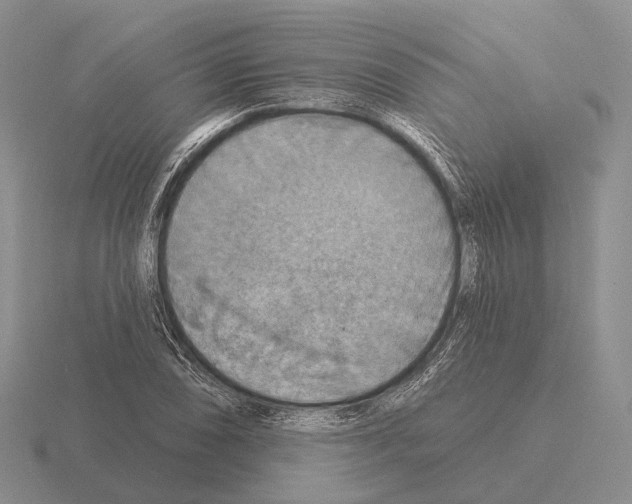 X0000115451074200912161509