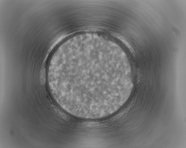 X0000115451075200912161509