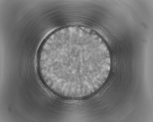 X0000115451076200912161509