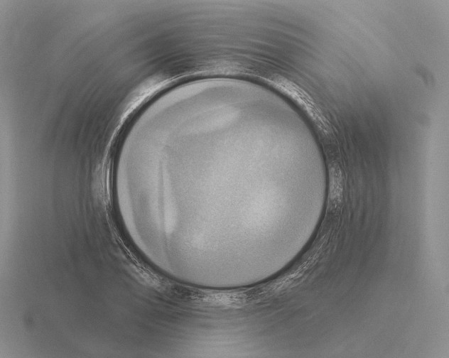 X0000115451078200912161509