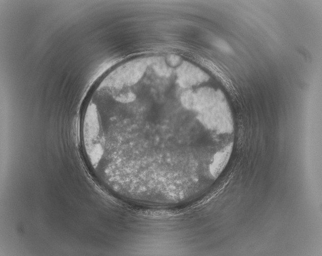 X0000115451079200912161509