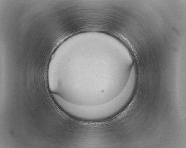 X0000115451081200912161509