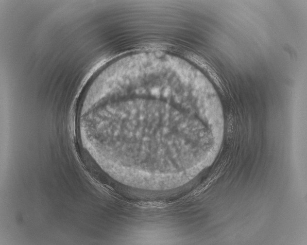 X0000115451083200912161509